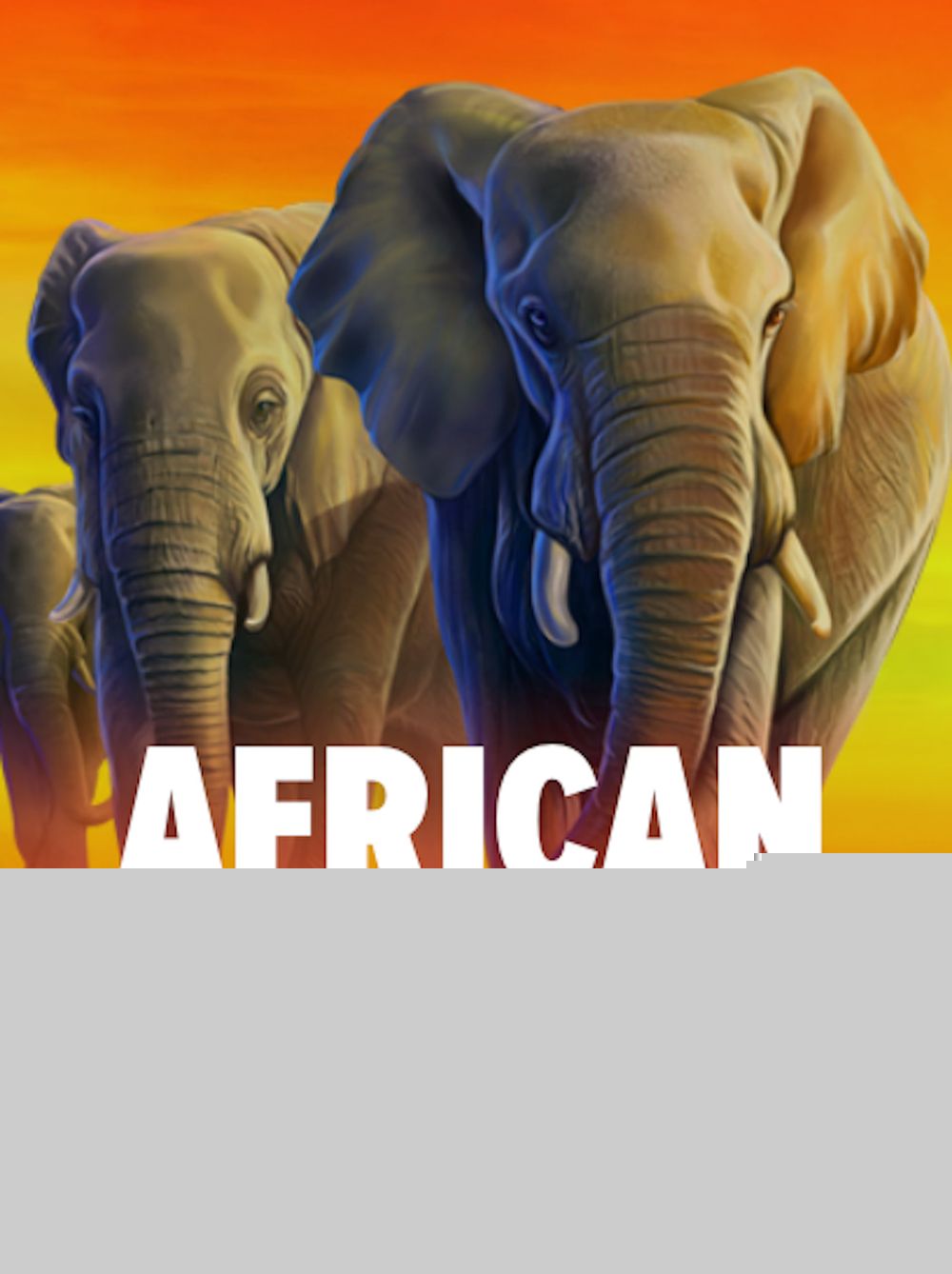 African Elephant